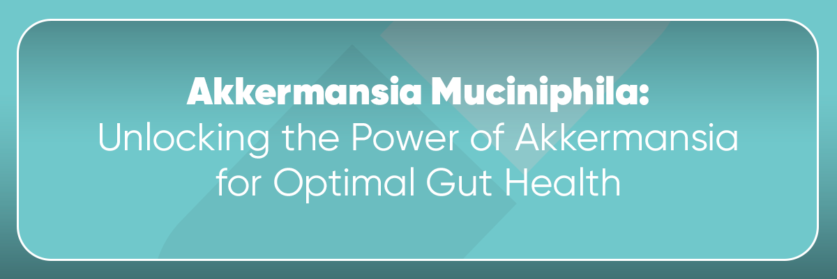 Akkermansia
