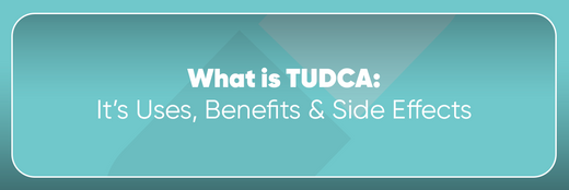 Tudca 