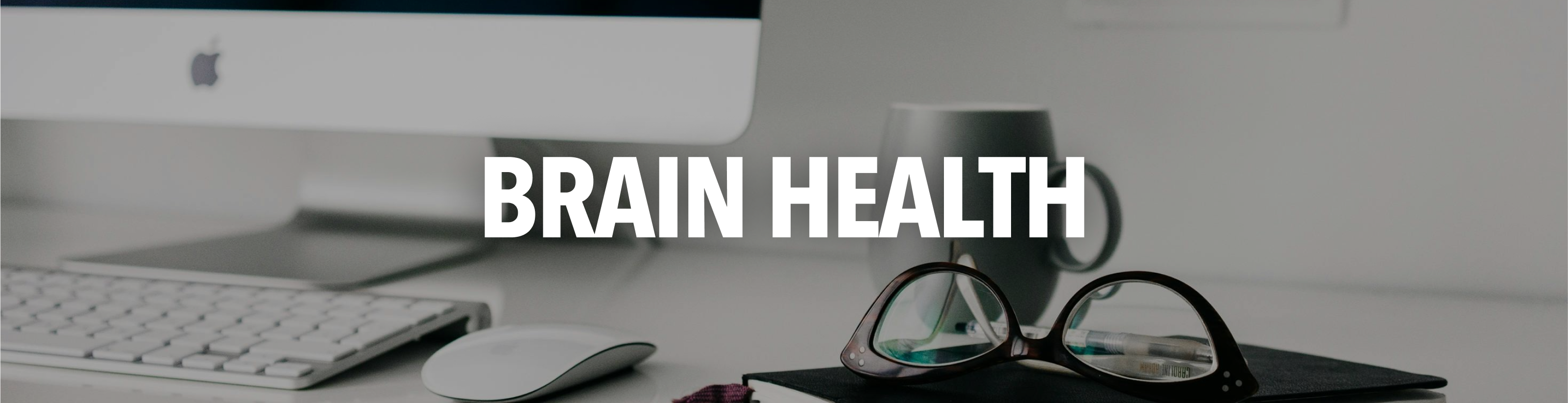 Brain Health Supplements