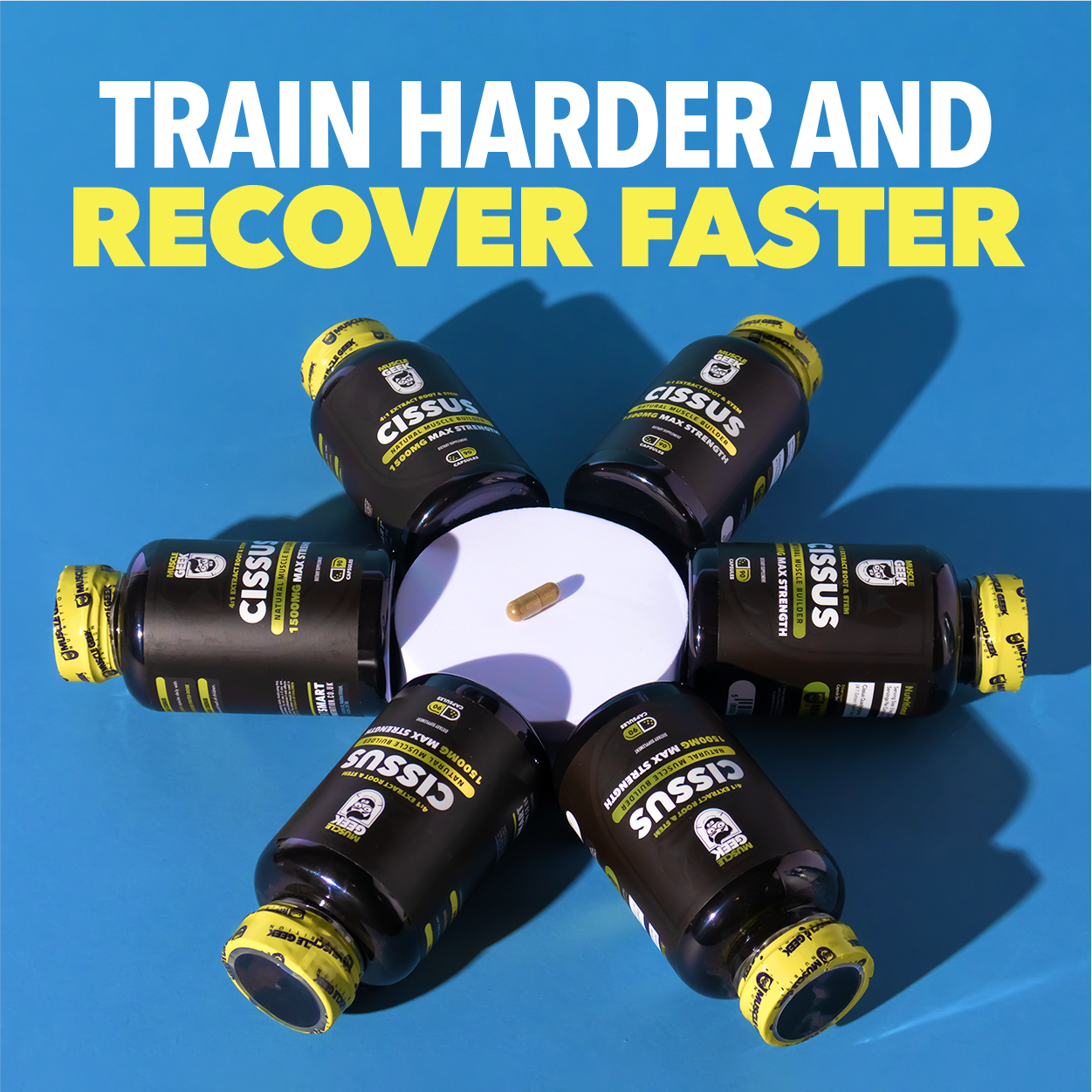 Joint Support Supplements