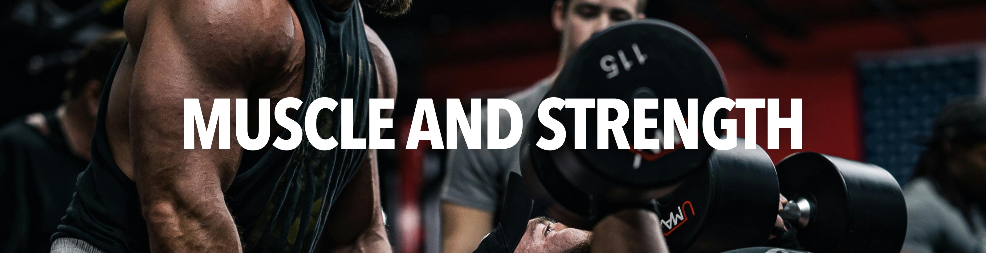 Muscle & Strength Products