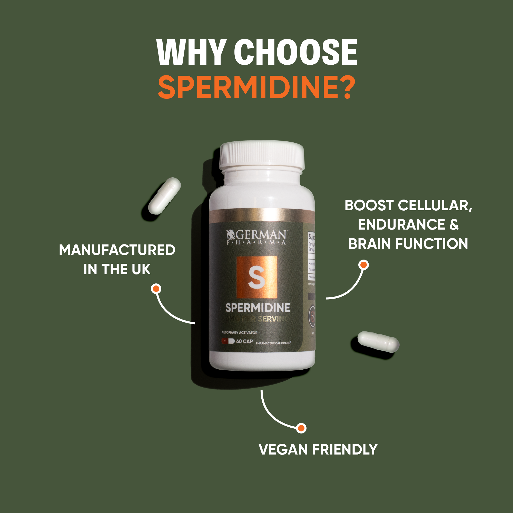 Spermidine Supplement UK