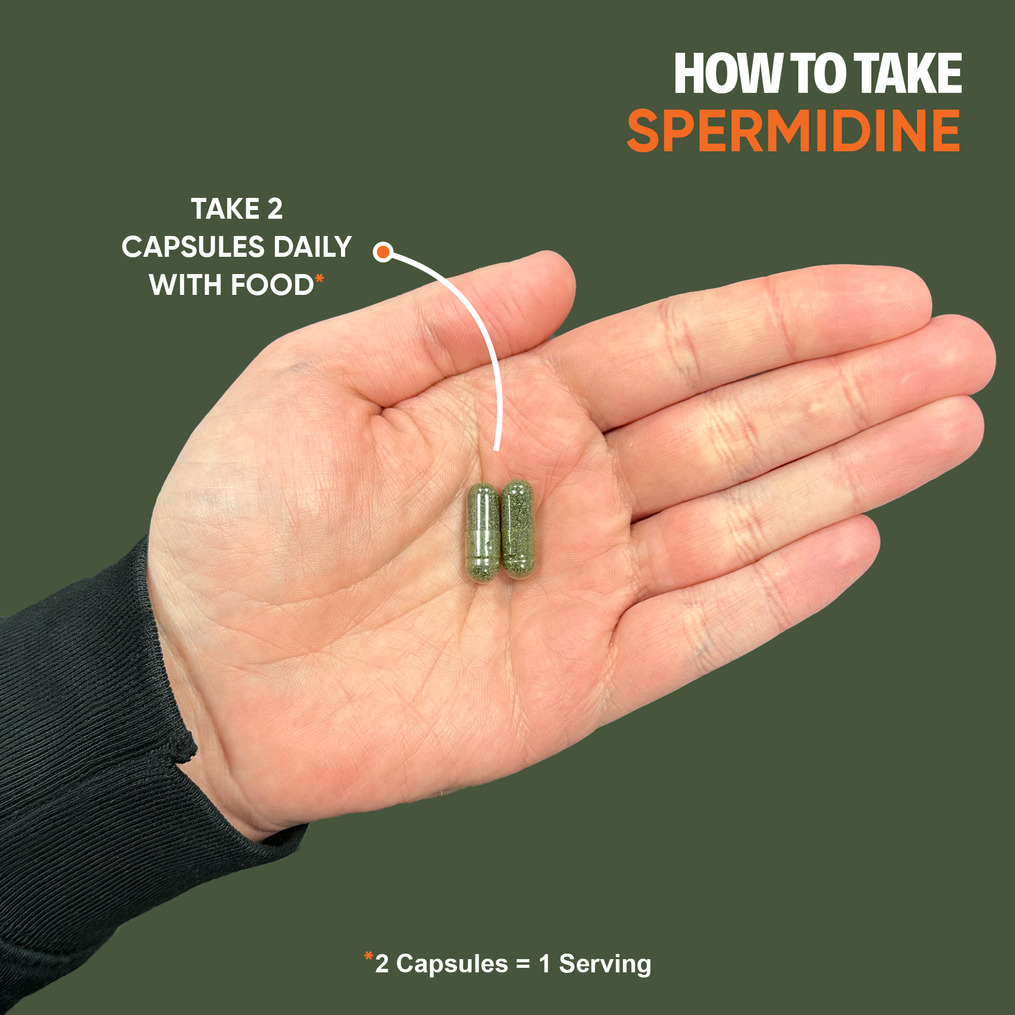 Spermidine Supplement Benefits