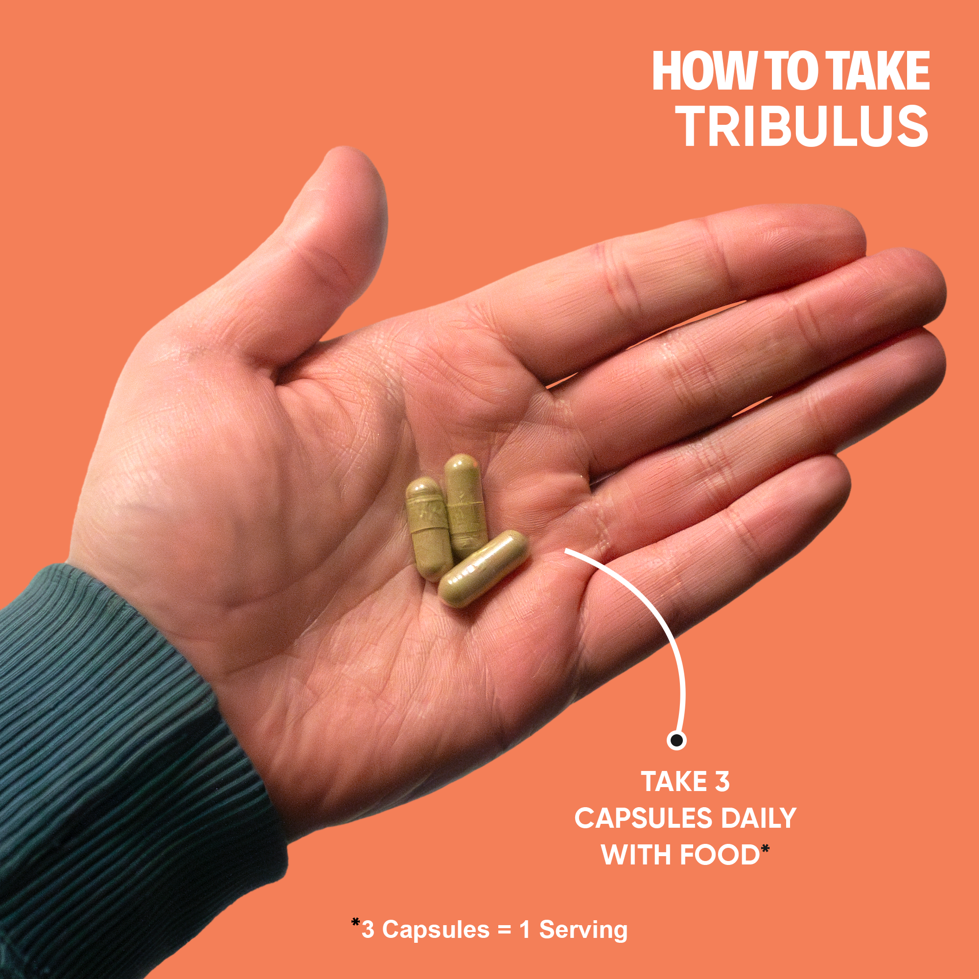 Tribulus Terrestris Extract
