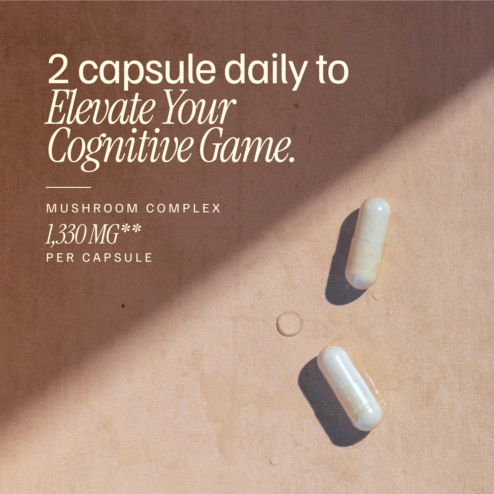 Mushroom Capsules Benefits