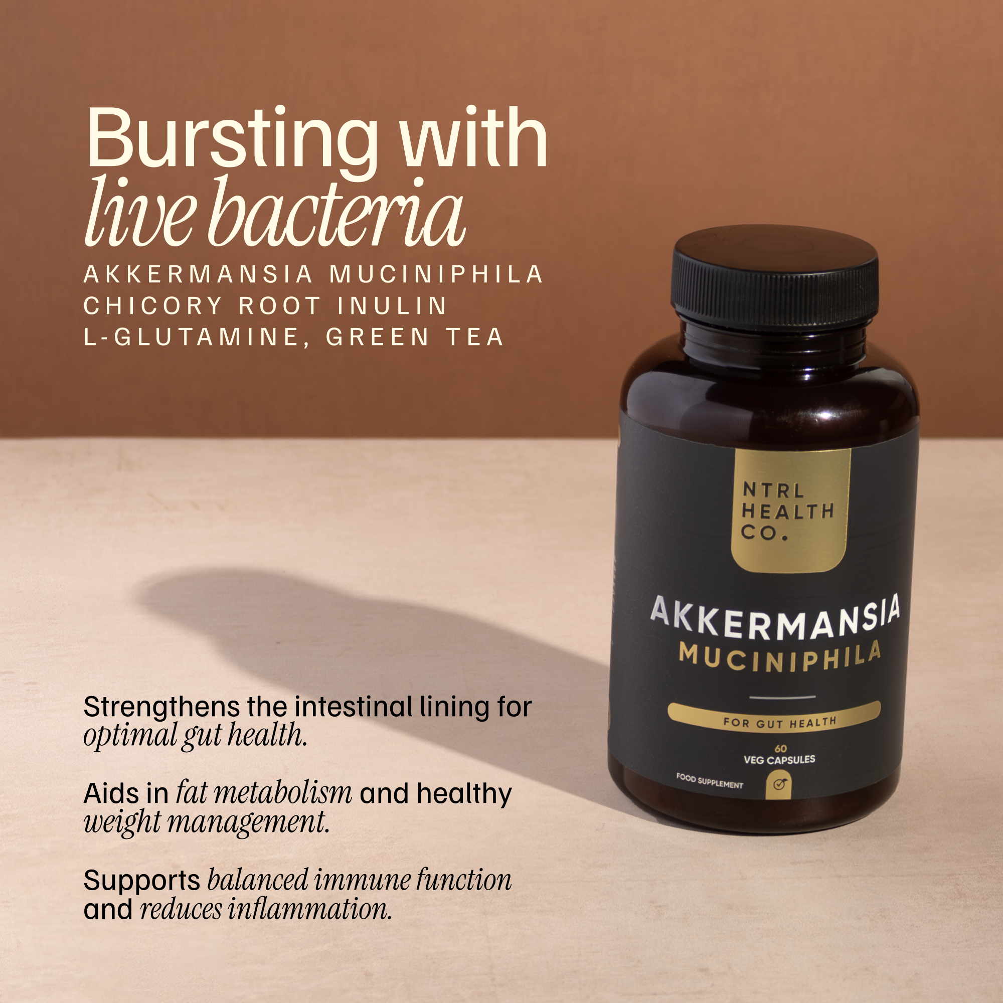 Akkermansia Benefits