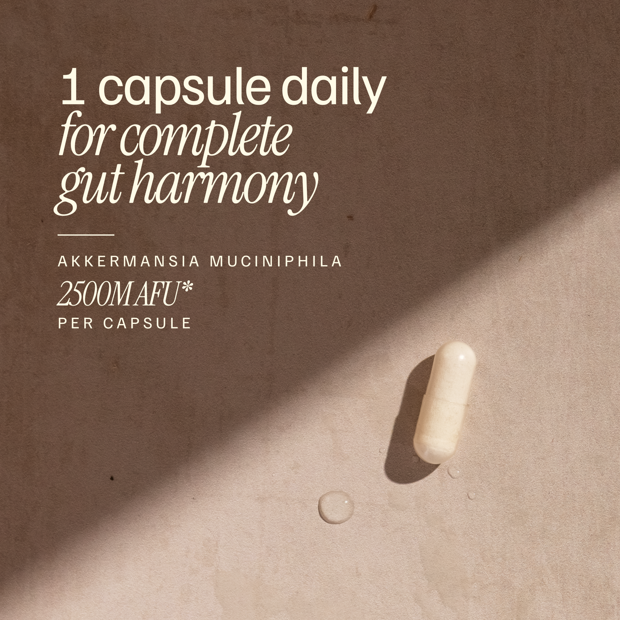 Akkermansia Probiotic