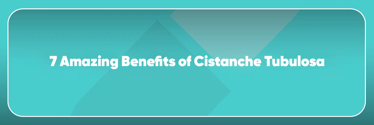 Cistanche 