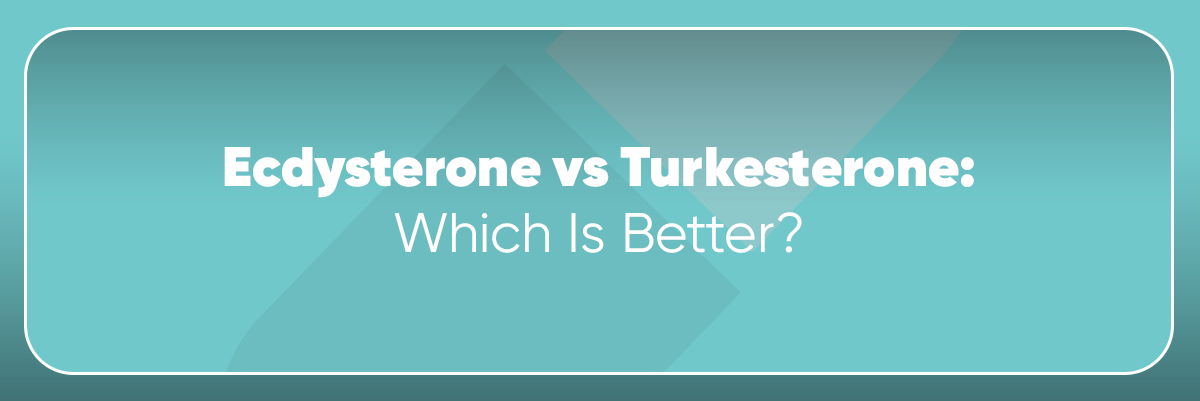 Ecdysterone vs Turkesterone: Which Is Better?