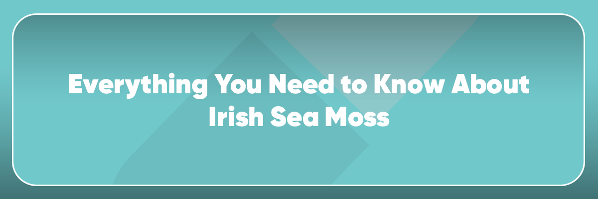 Everything You Need to Know About Irish Sea Moss