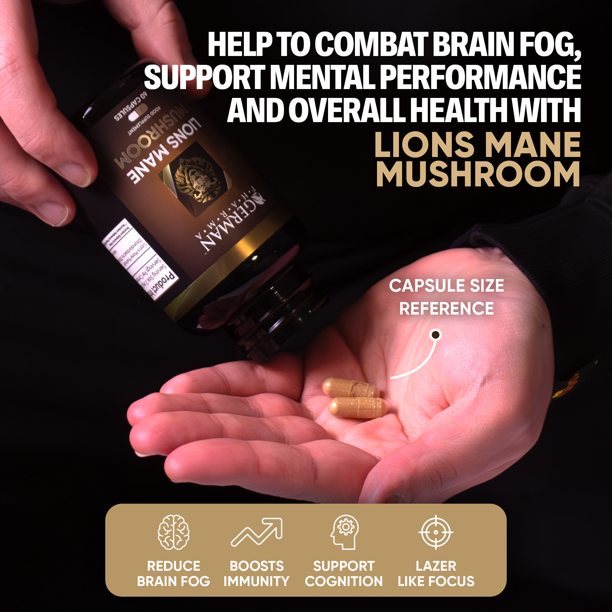 Lion's Mane Mushroom Supplement