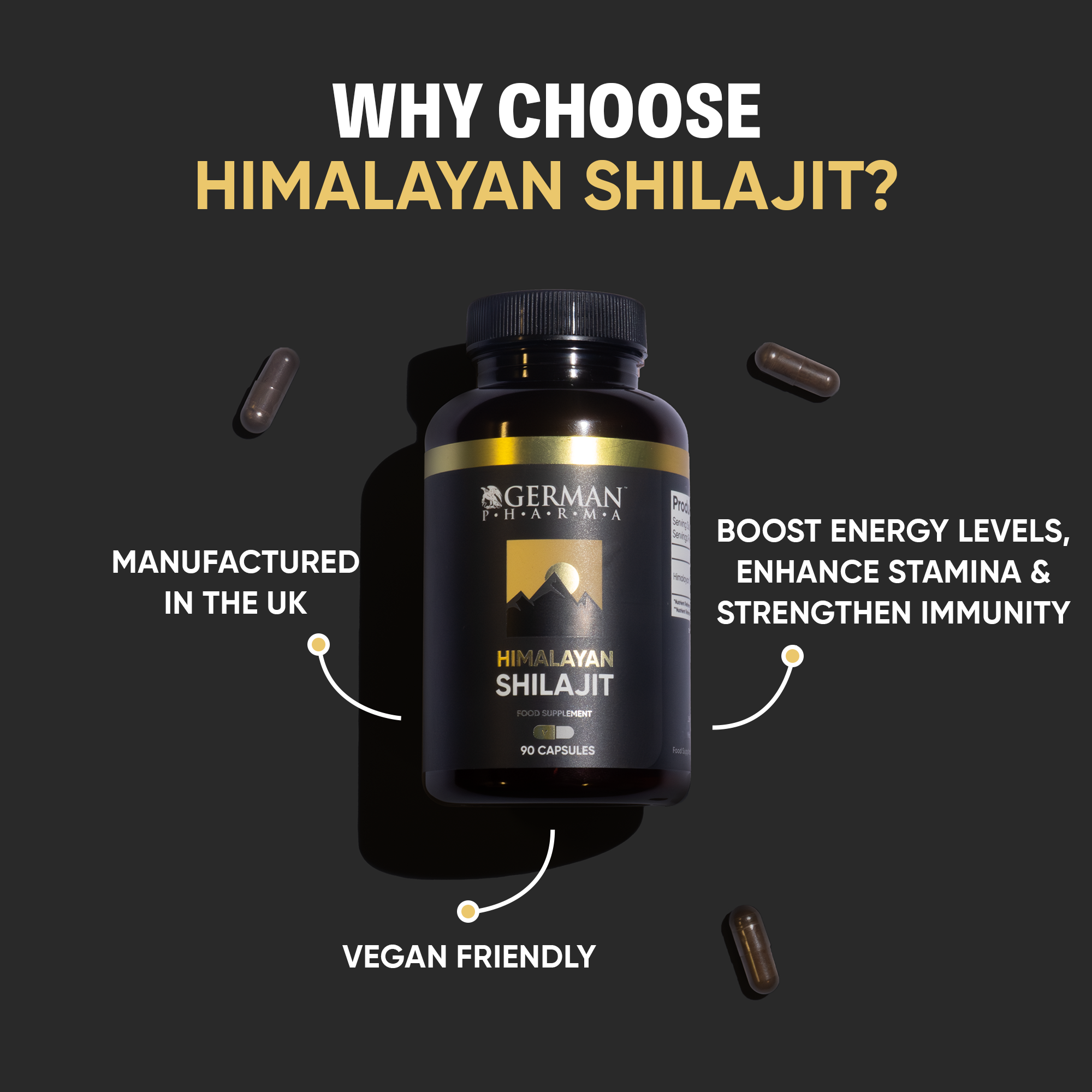 Shilajit Capsule