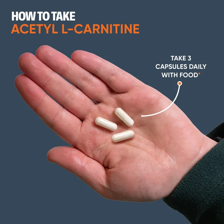 Acetyl-L-Carnitine (ALCAR)