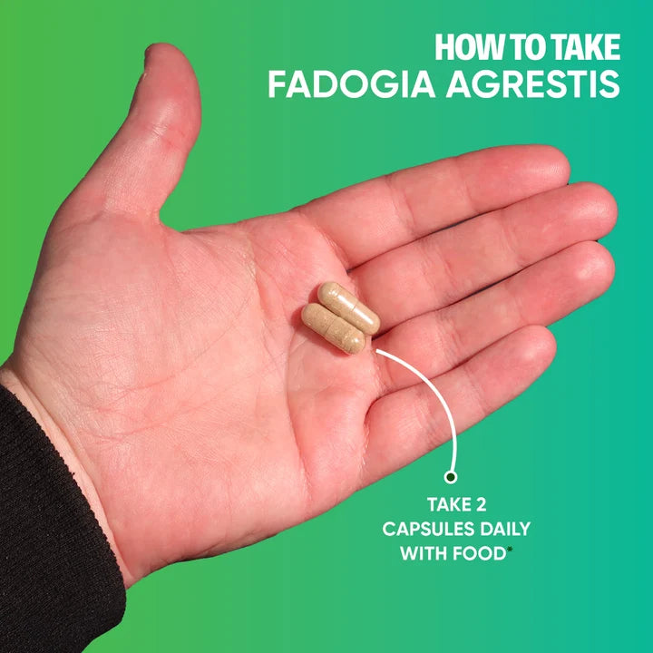 Fadogia Agrestis