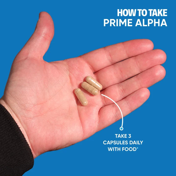 Muscle Building Supplement For Men