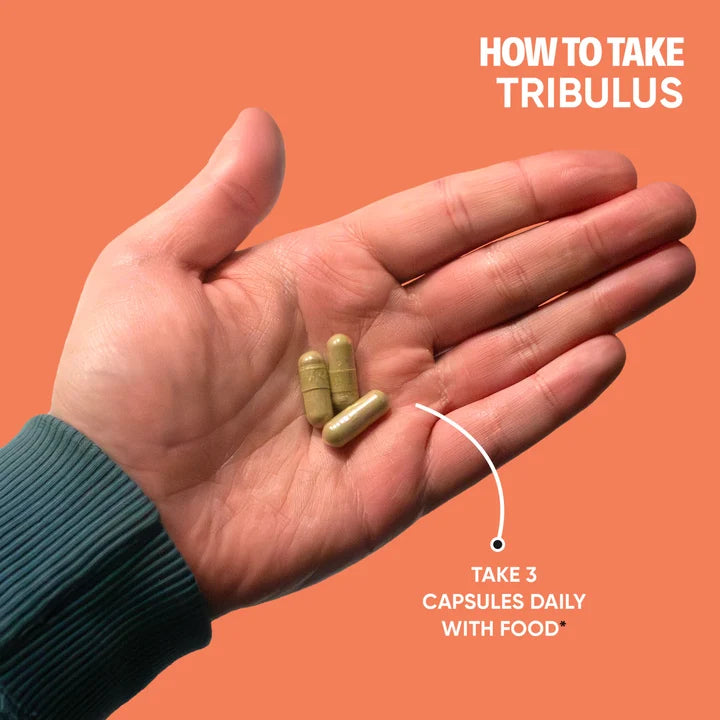 Tribulus