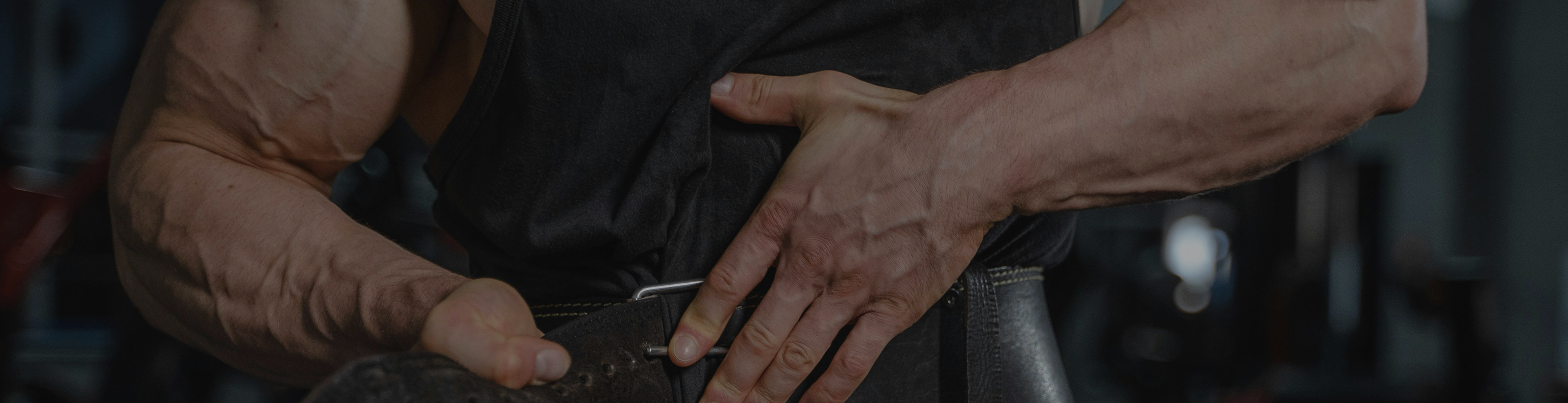 Muscle Builder Supplements