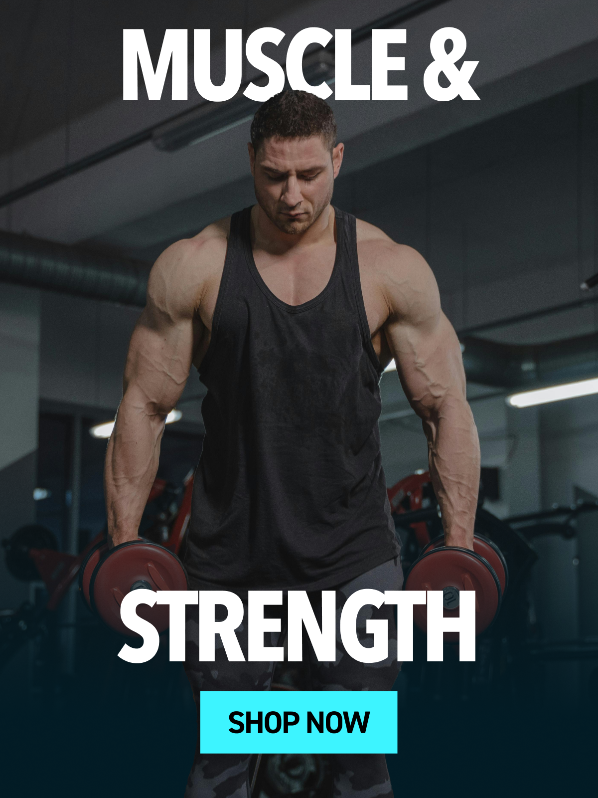 Muscle & Strength