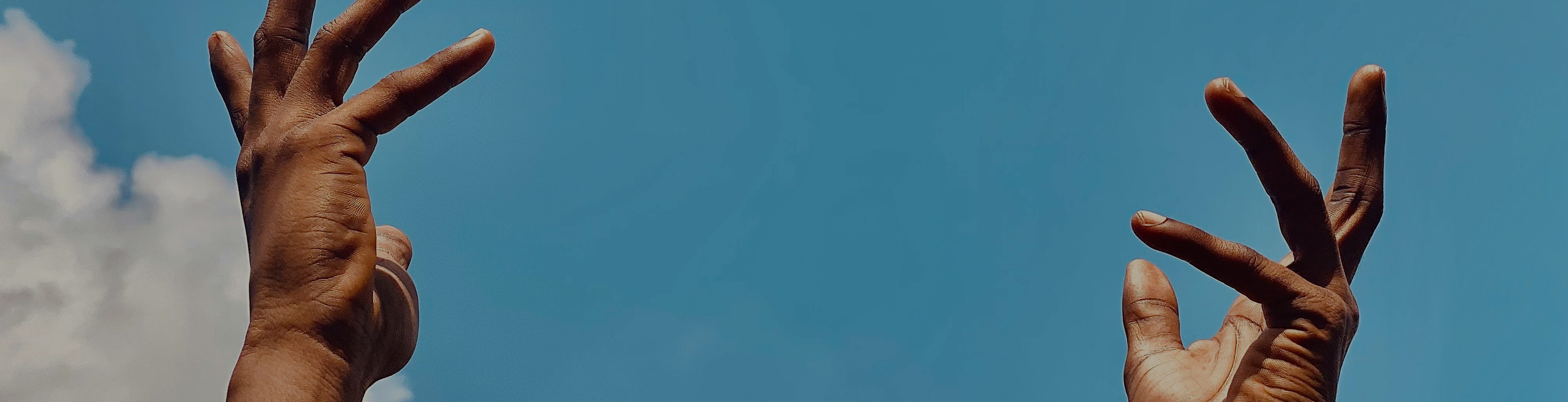 NTRL Health Co Supplements