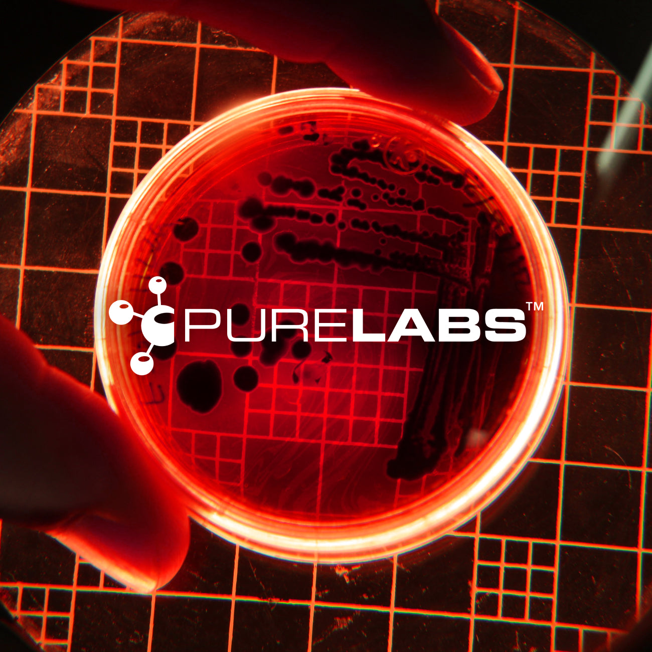 Pure Labs Supplements